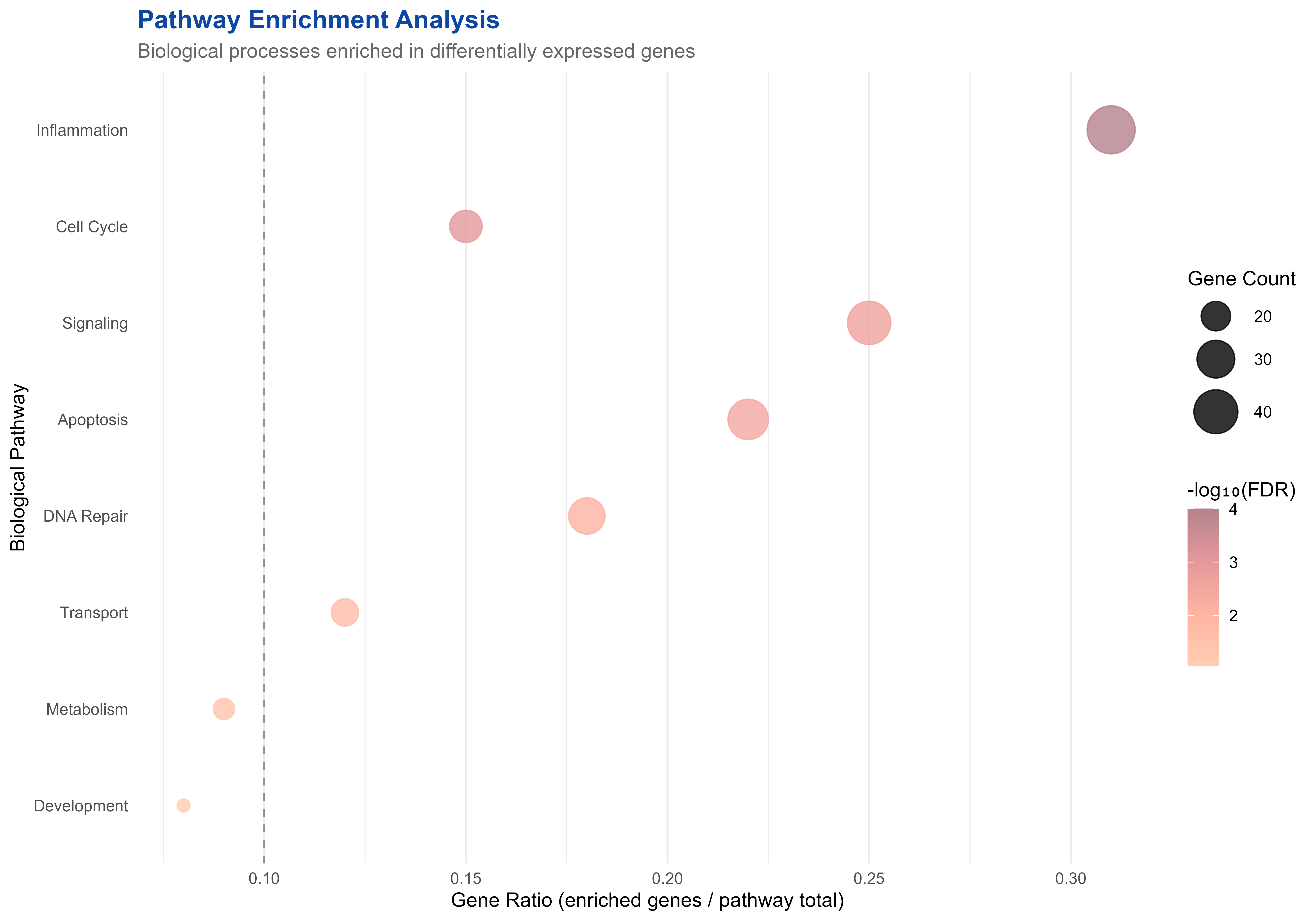 Pathway enrichment analysis showing biological processes affected by treatment